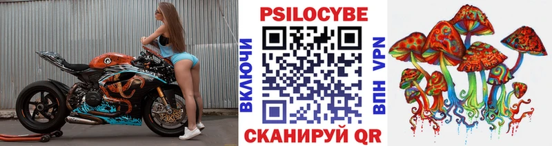 KRAKEN tor  Костомукша  Псилоцибиновые грибы Psilocybine cubensis 